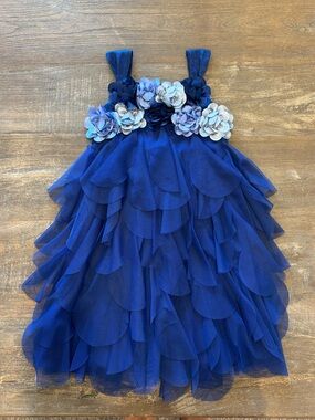 Biscotti Floral Tulle Dress - Size 5
